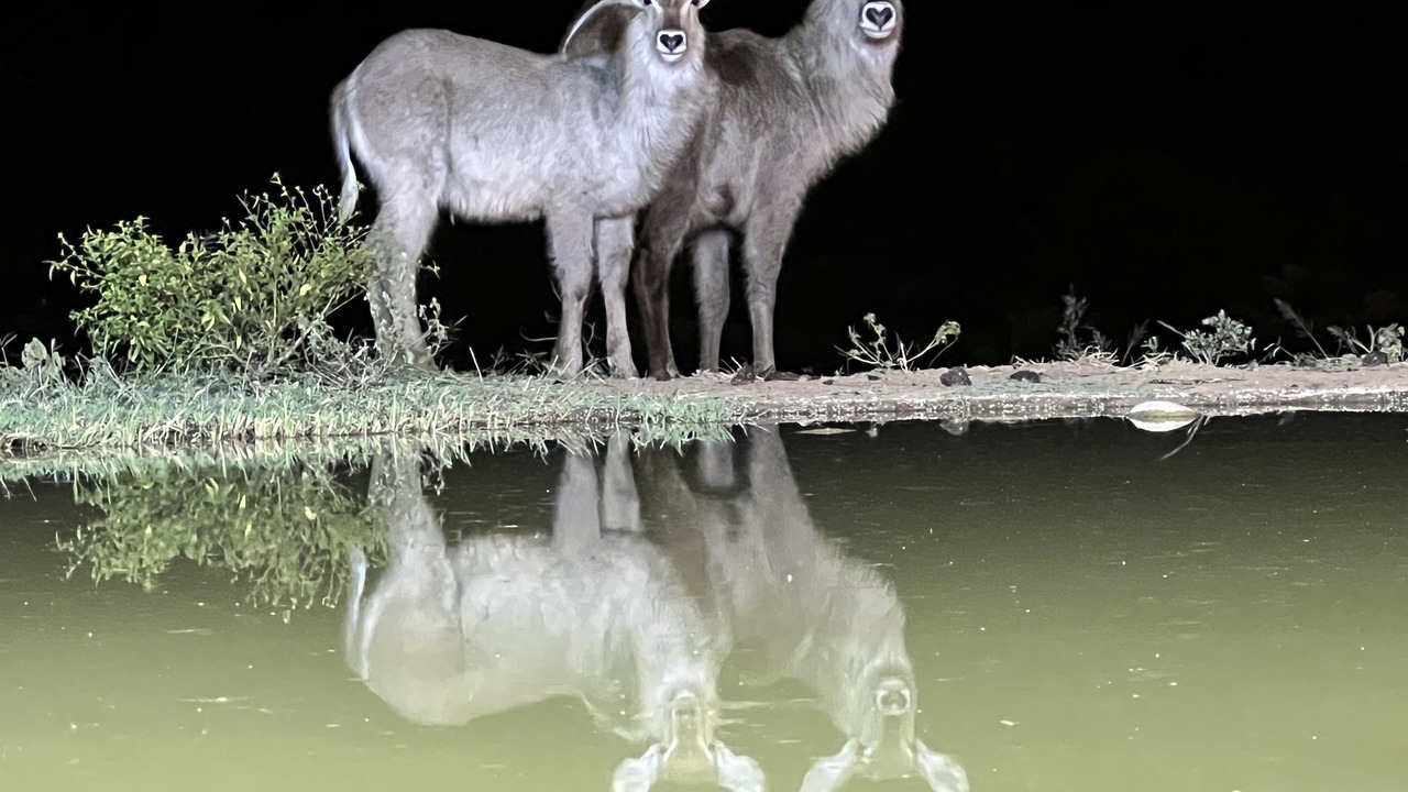 Photo of Others in Malelane