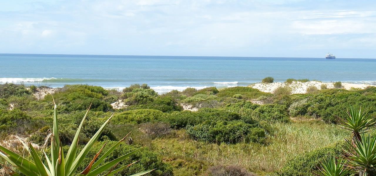 Photo of Others in Bluewater Bay