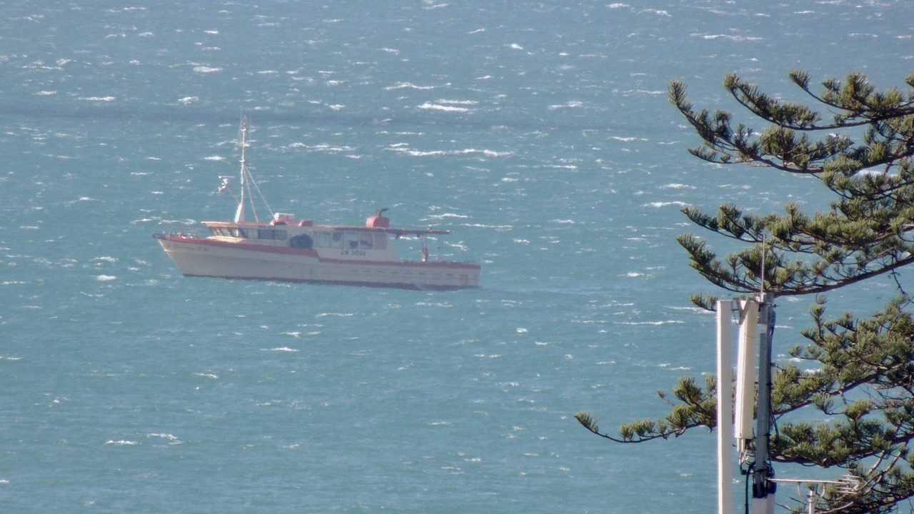 Photo of Others in Humewood