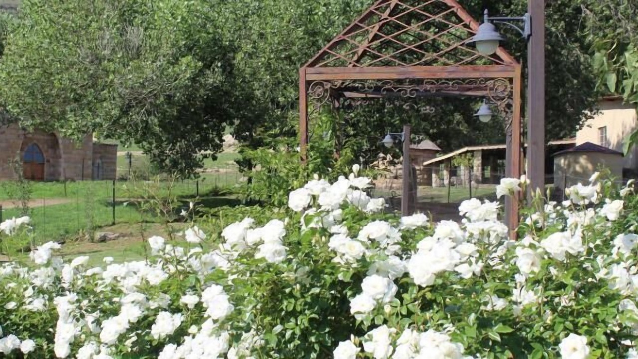 Photo of Outdoor in Fouriesburg