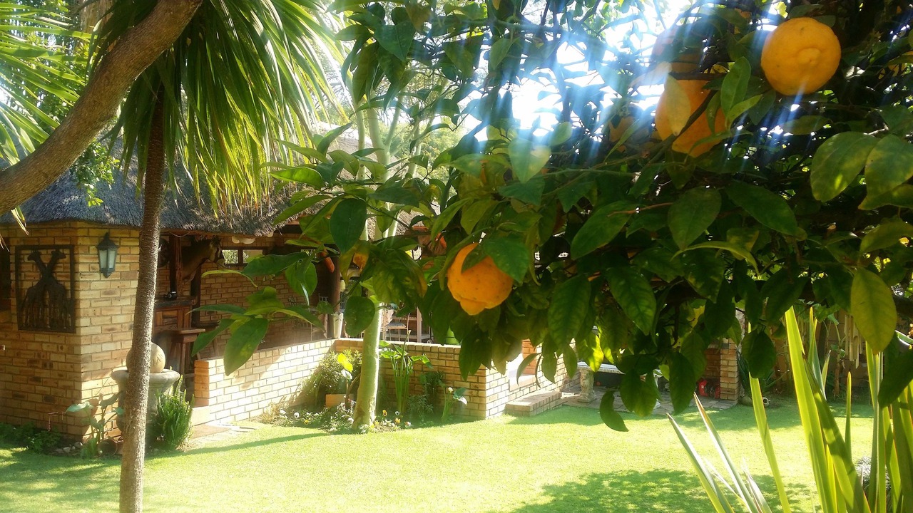 Photo of Outdoor in Greater Johannesburg Metropolitan Area