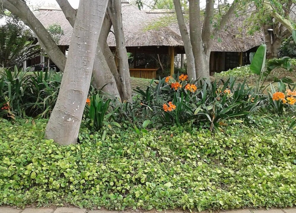 Photo of Outdoor in Pietermaritzburg