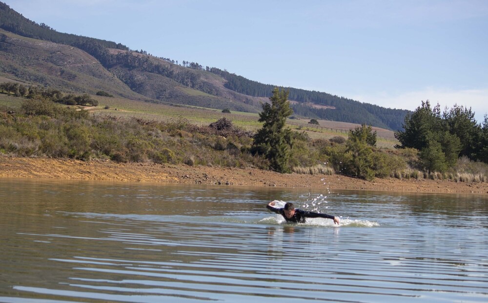 Photo of Others in Cape Winelands