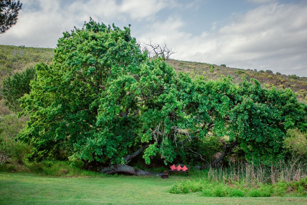 Photo of Outdoor in Papiesvlei