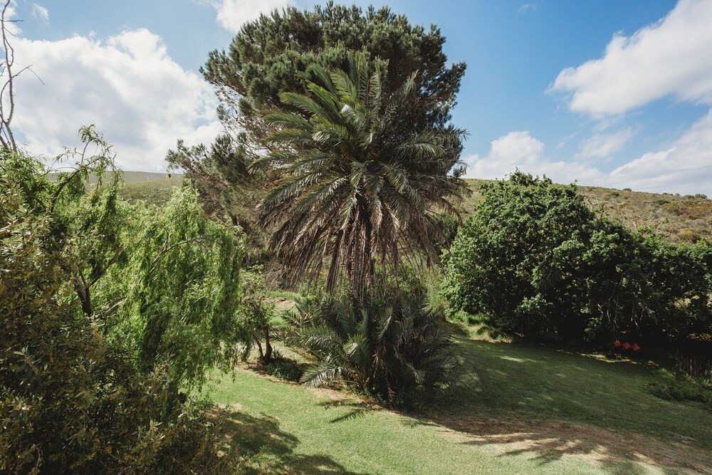 Photo of Outdoor in Papiesvlei