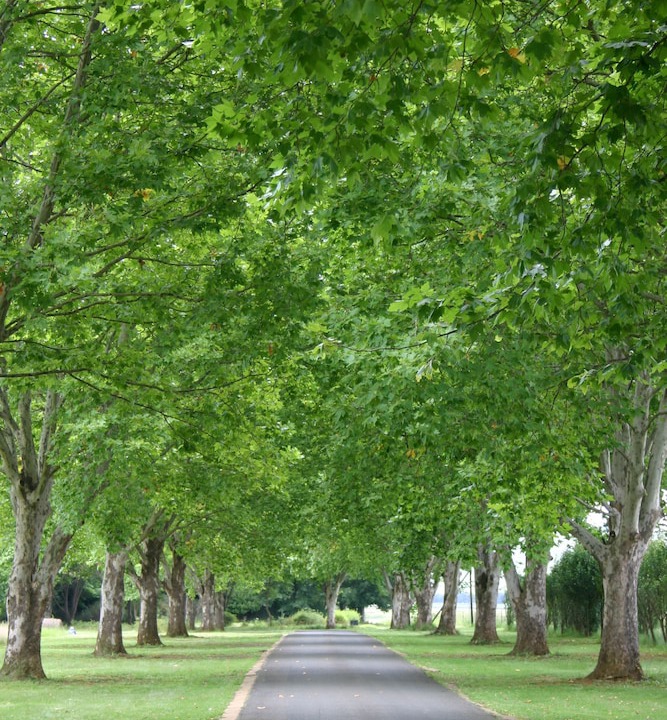 Photo of Outdoor in Himeville