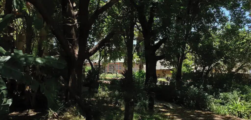 Photo of Outdoor in Hammanskraal