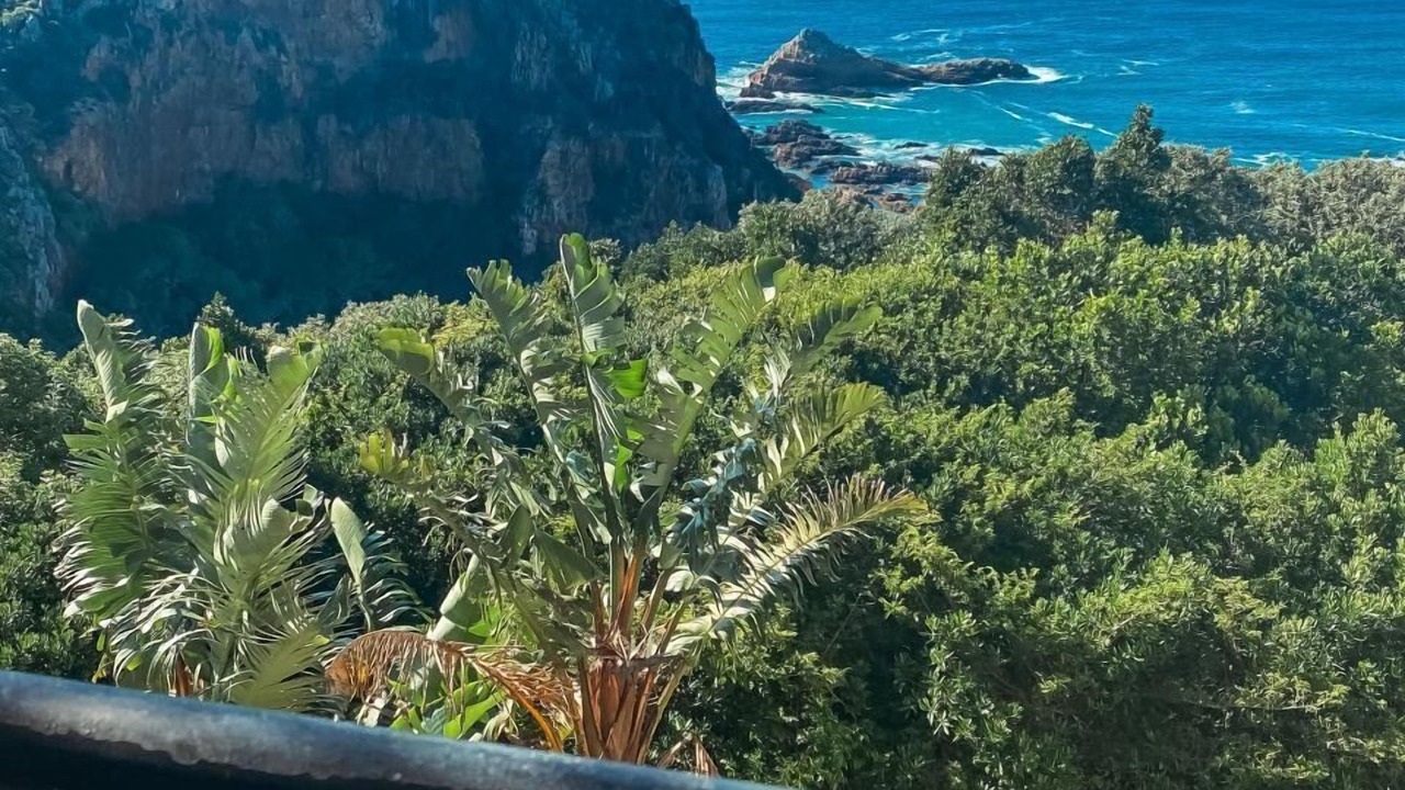 Photo of Others in Knysna