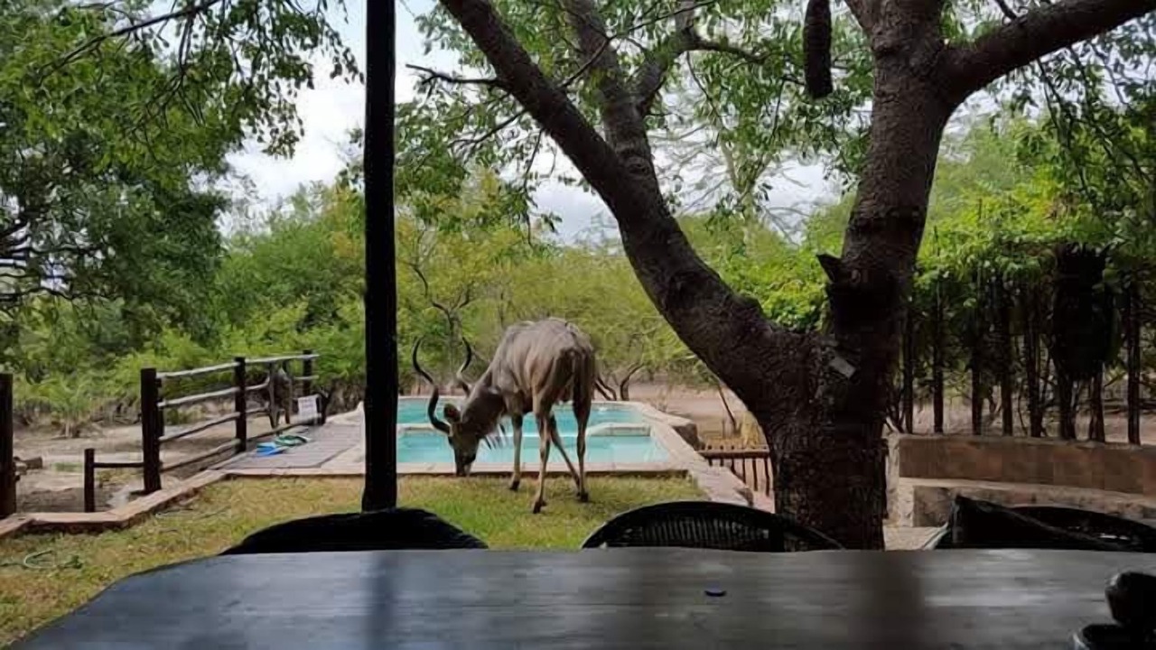 Photo of Others in Marloth Park