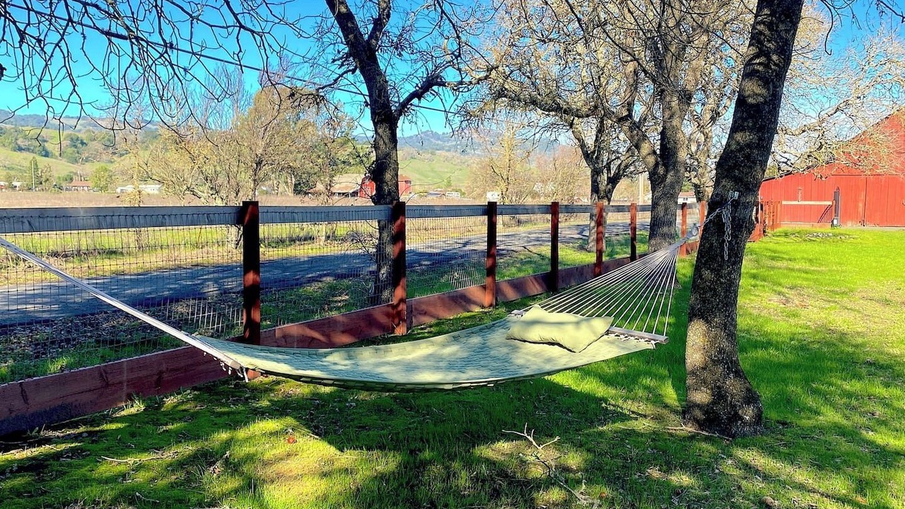 Photo of Others in Sonoma