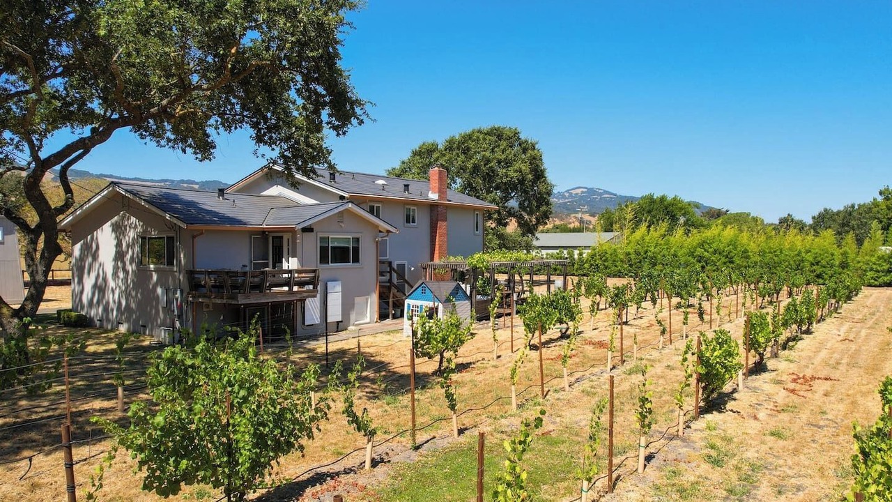 Photo of Others in Sonoma
