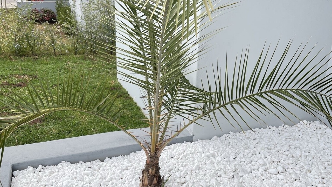Photo of Outdoor in Greater Johannesburg Metropolitan Area