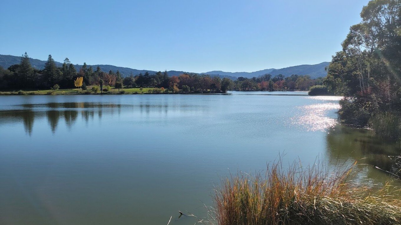 Photo of Outdoor in Cambrian Park