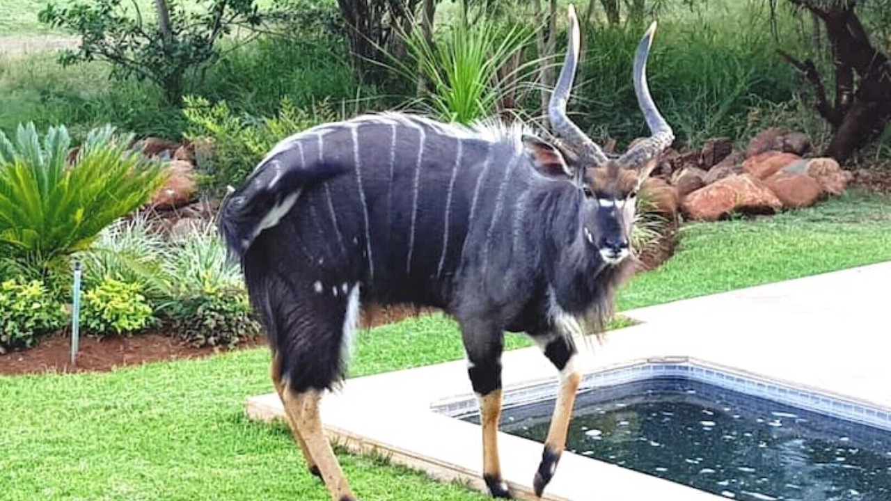Photo of Others in Hartbeespoort