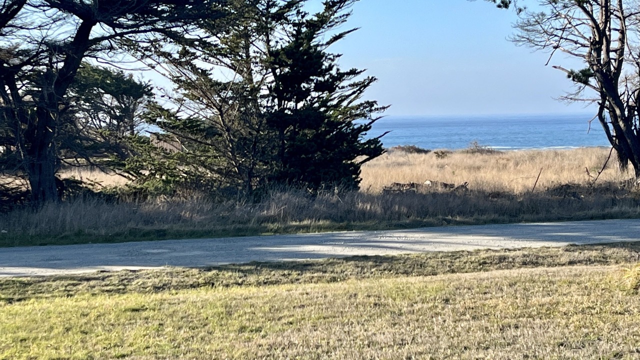 Photo of Outdoor in Caspar