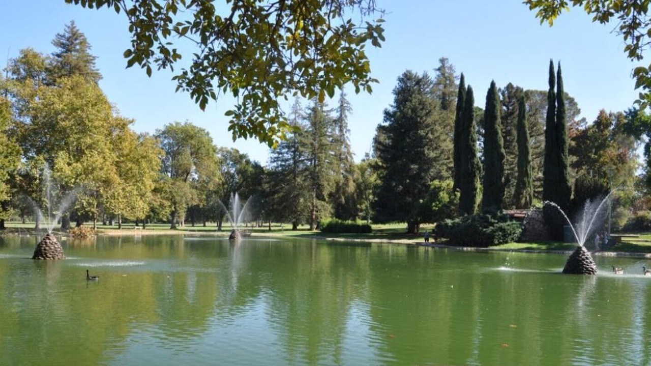 Photo of Others in Sacramento