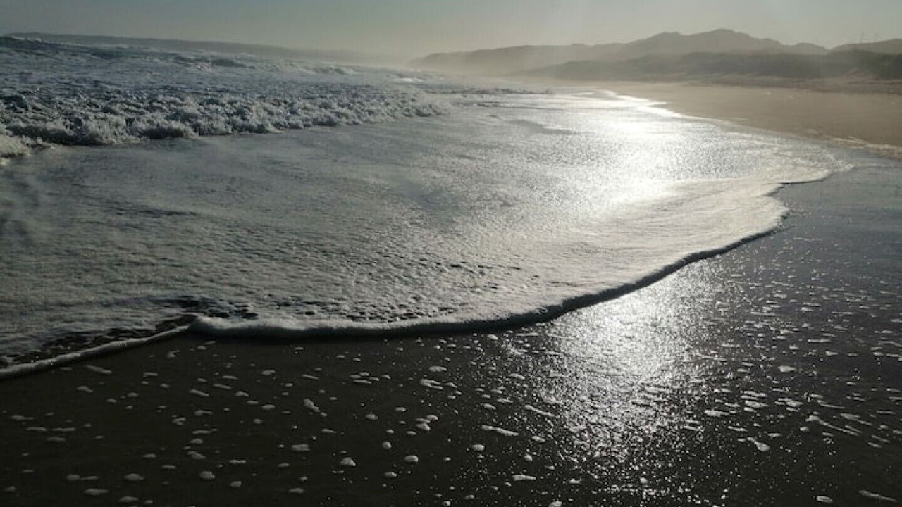 Photo of Others in Wilderness Beach