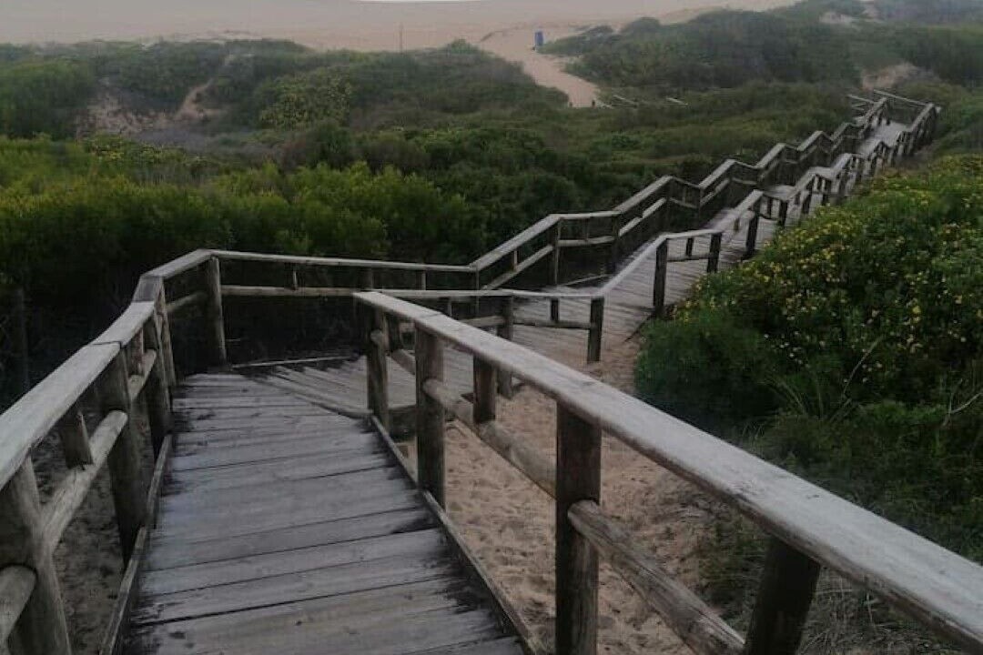Photo of Others in Wilderness Beach