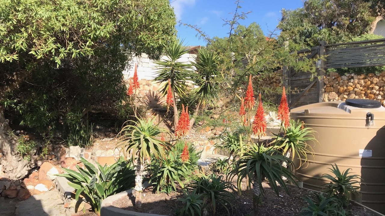 Photo of Outdoor in Fish Hoek