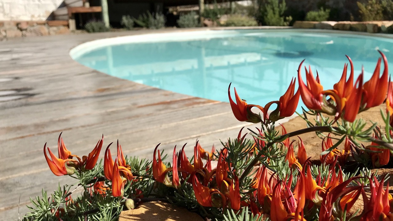 Photo of Outdoor in Fish Hoek