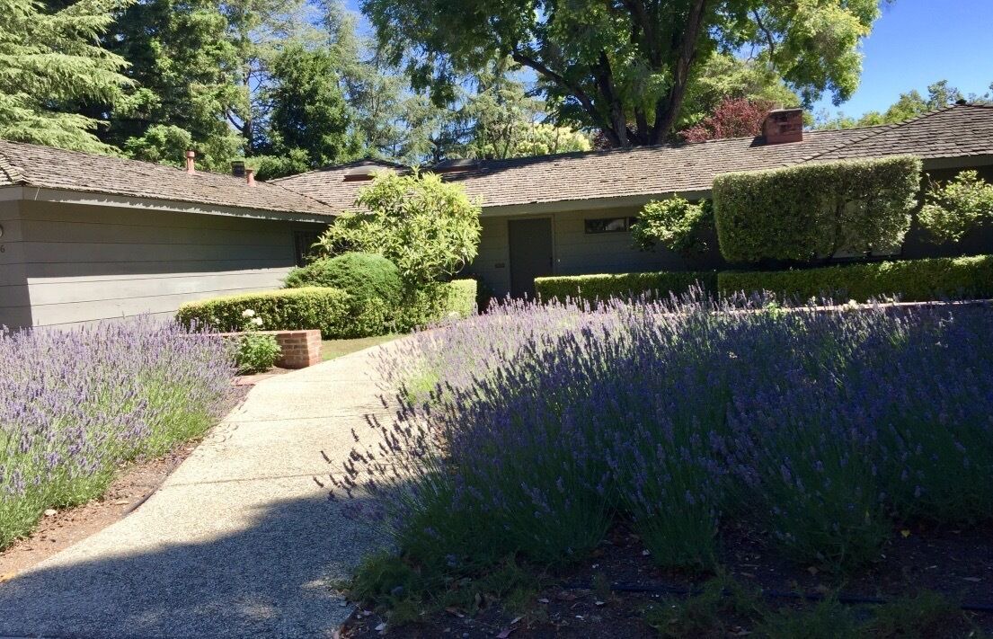 Photo of Outdoor in Leland Manor