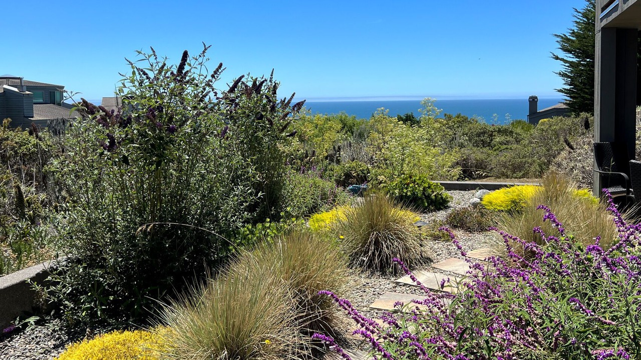Photo of Outdoor in Bodega Bay