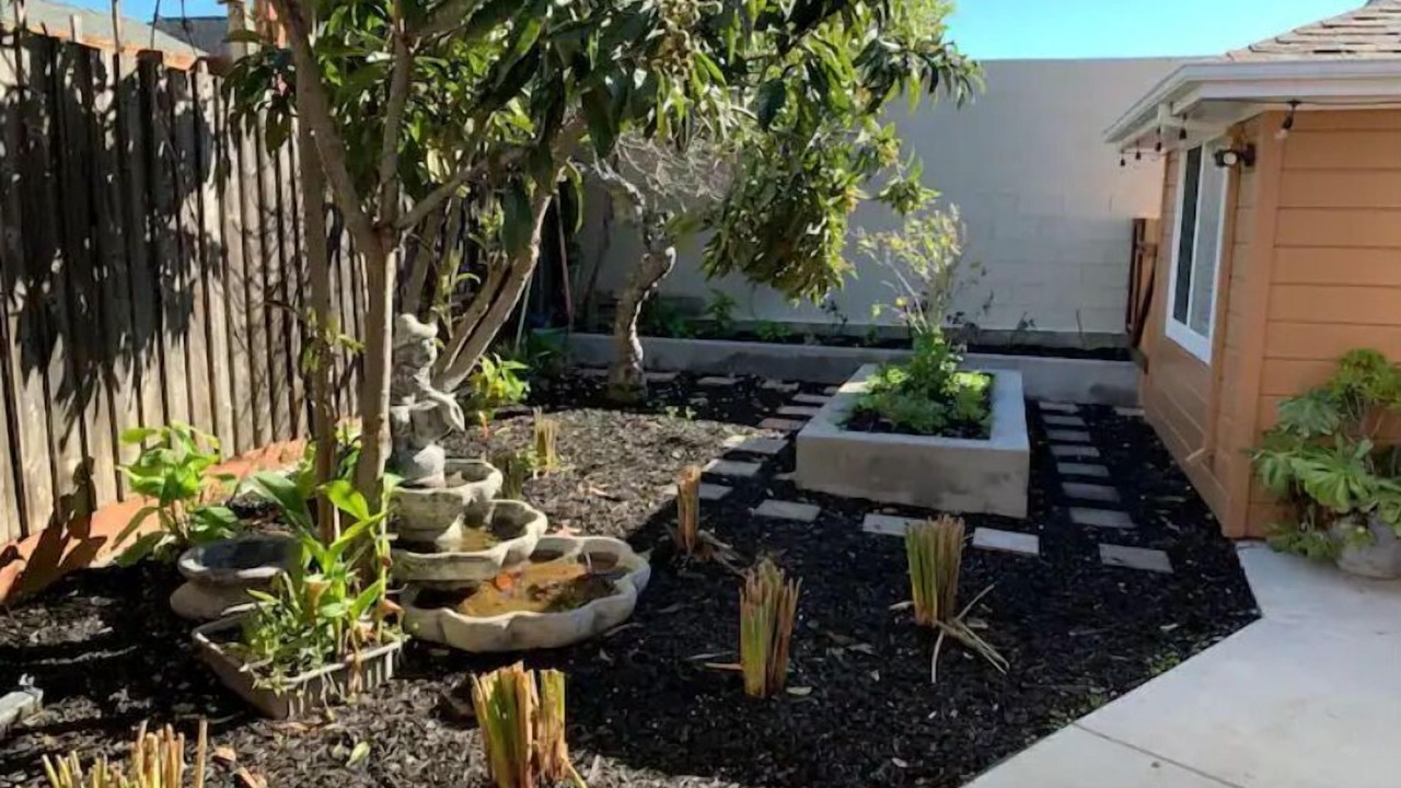 Photo of Outdoor in Castro Valley