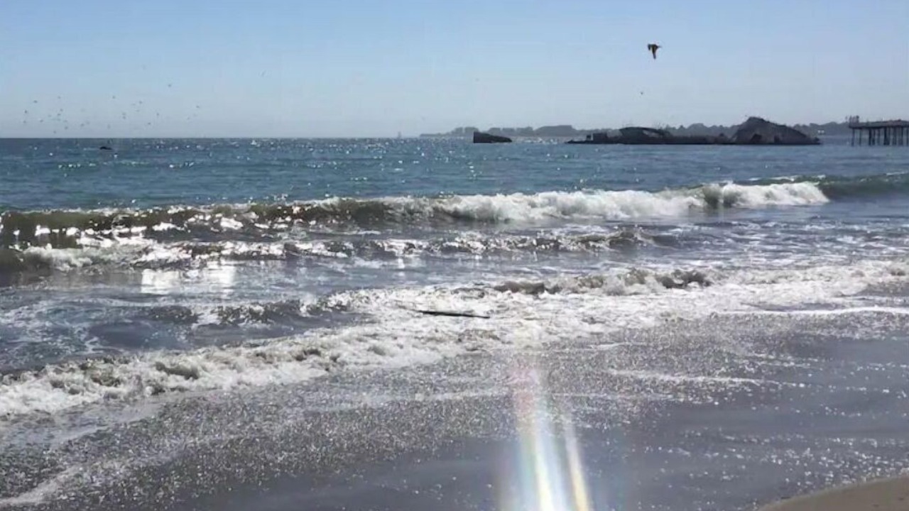 Photo of Others in Aptos