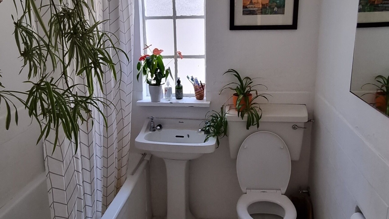 Photo of Bathroom in Rosebank