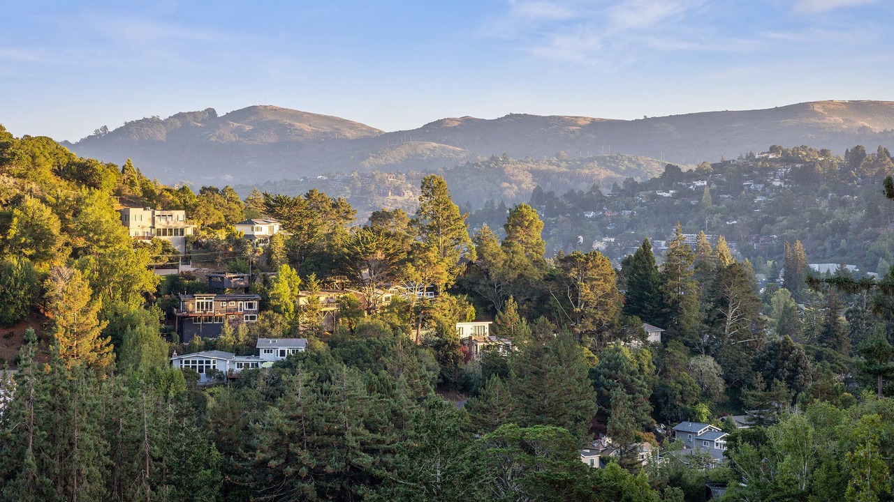 Photo of Outdoor in Mill Valley