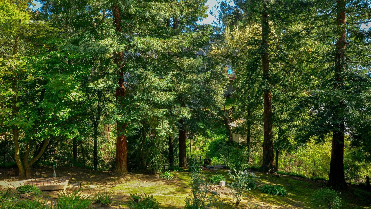 Photo of Outdoor in Shepherd Canyon