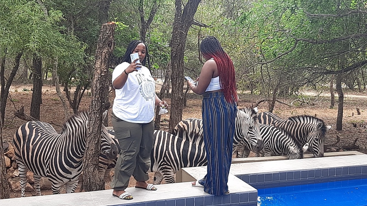 Photo of Outdoor in Marloth Park