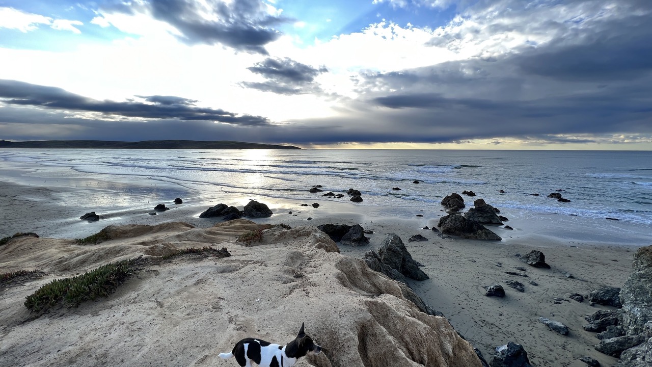 Photo of Others in Dillon Beach