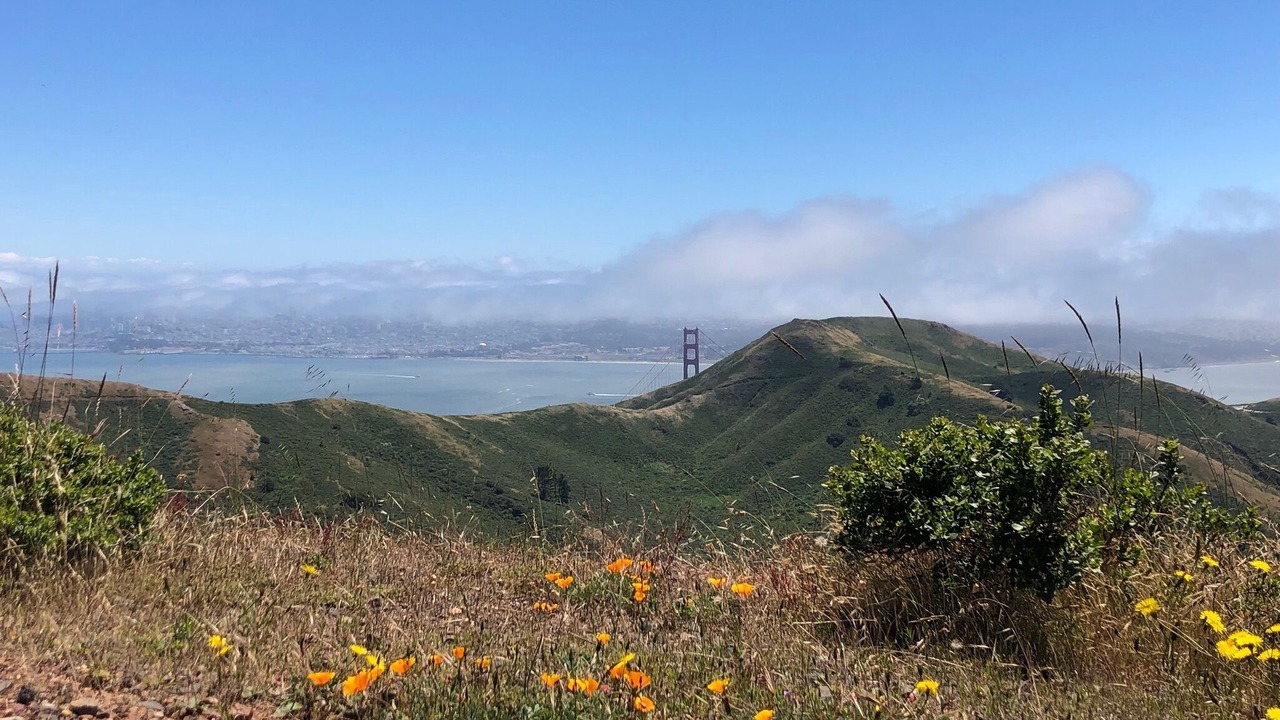 Photo of Others in Sausalito