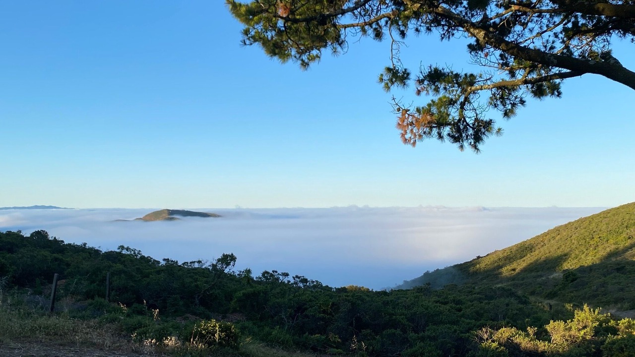 Photo of Others in Sausalito