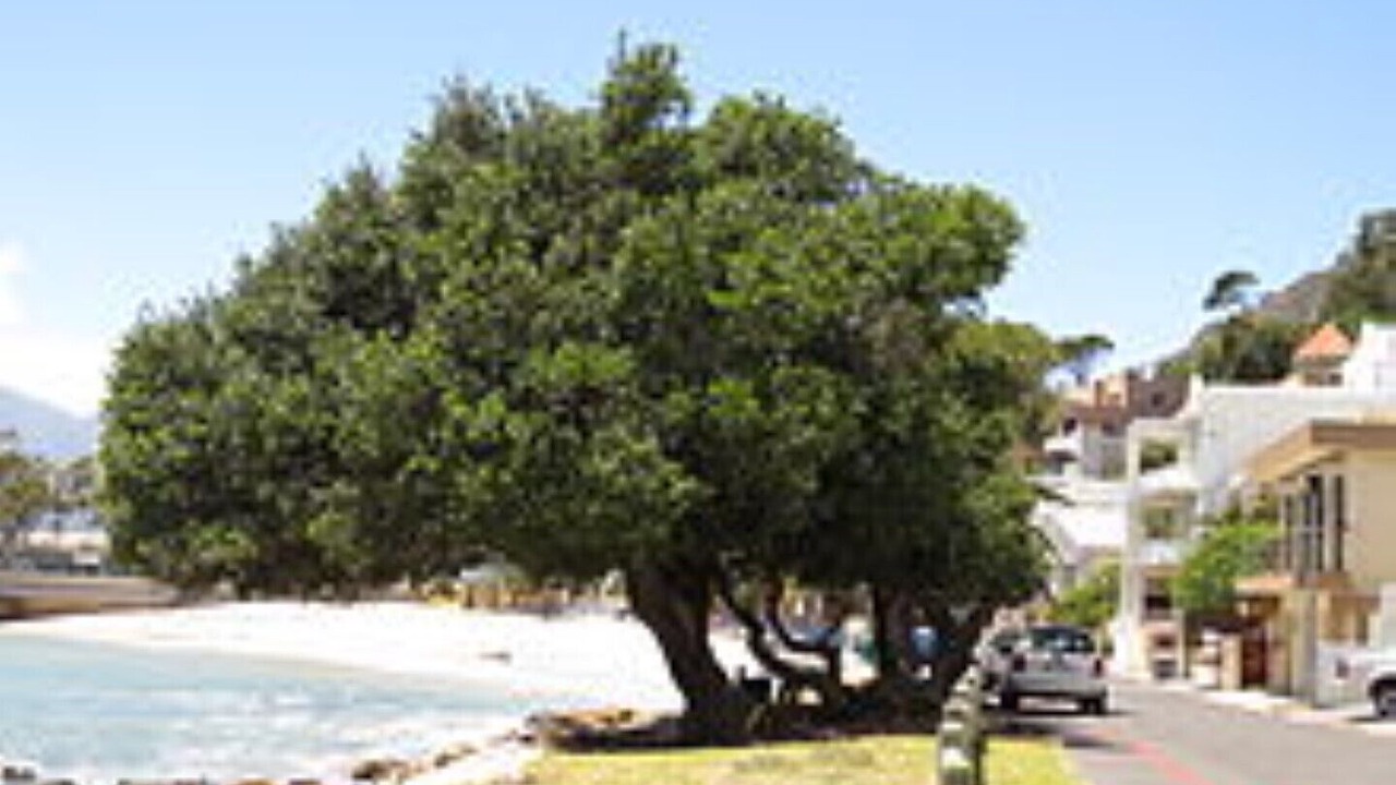 Photo of Outdoor in Gordons Bay Central