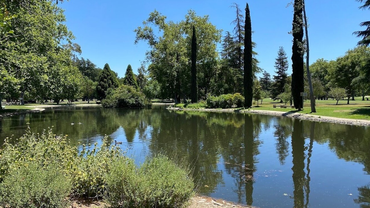 Photo of Others in Sacramento