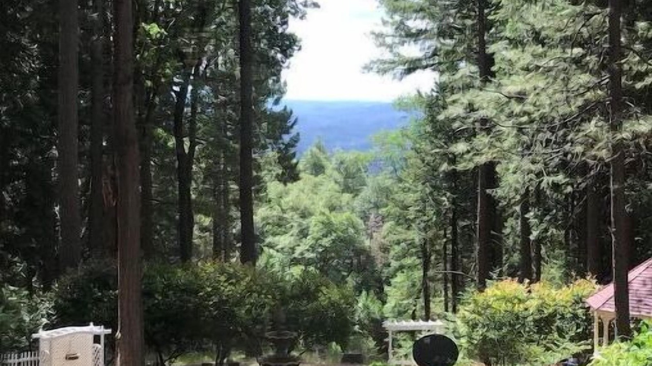 Photo of Outdoor in Nevada City