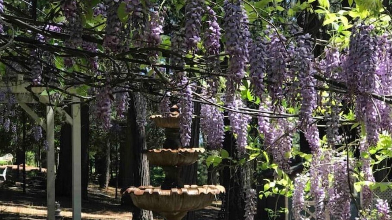 Photo of Outdoor in Nevada City