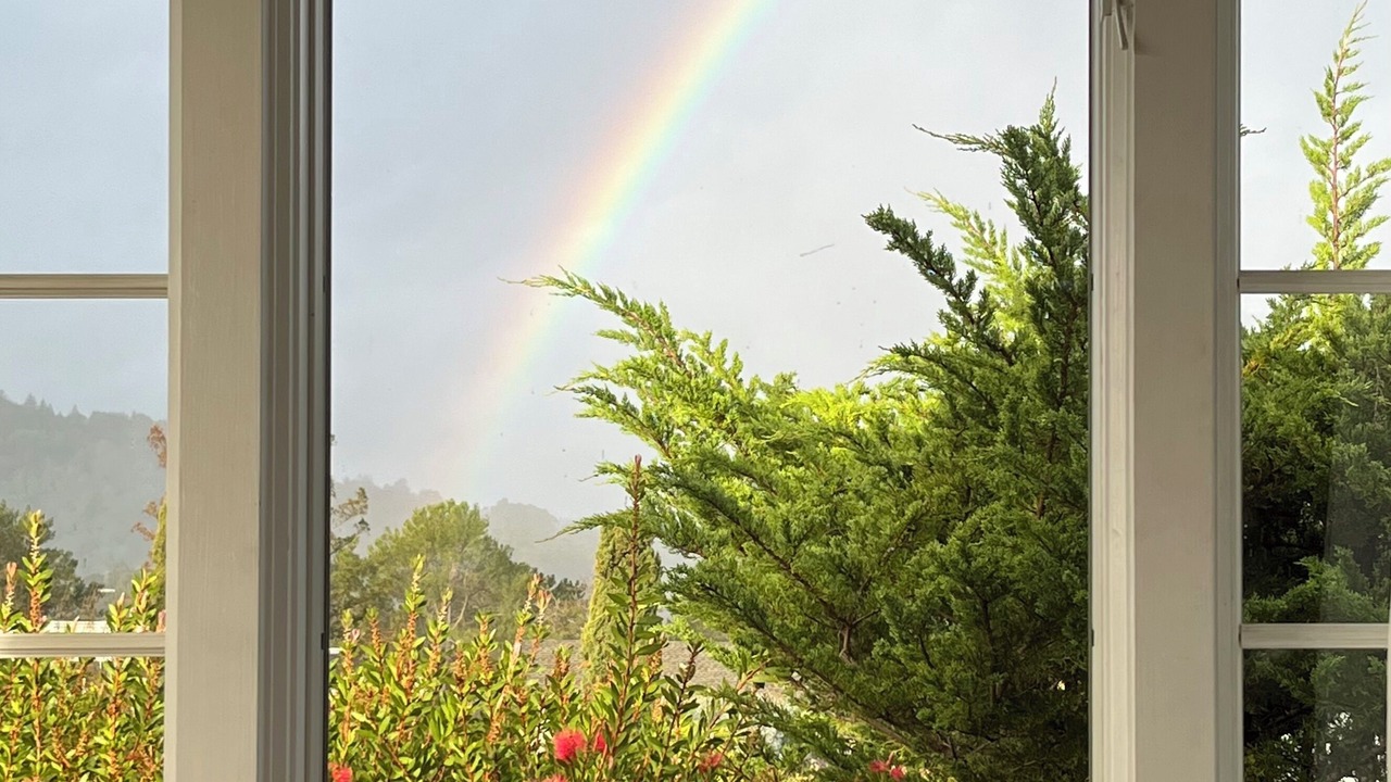 Photo of Others in Larkspur