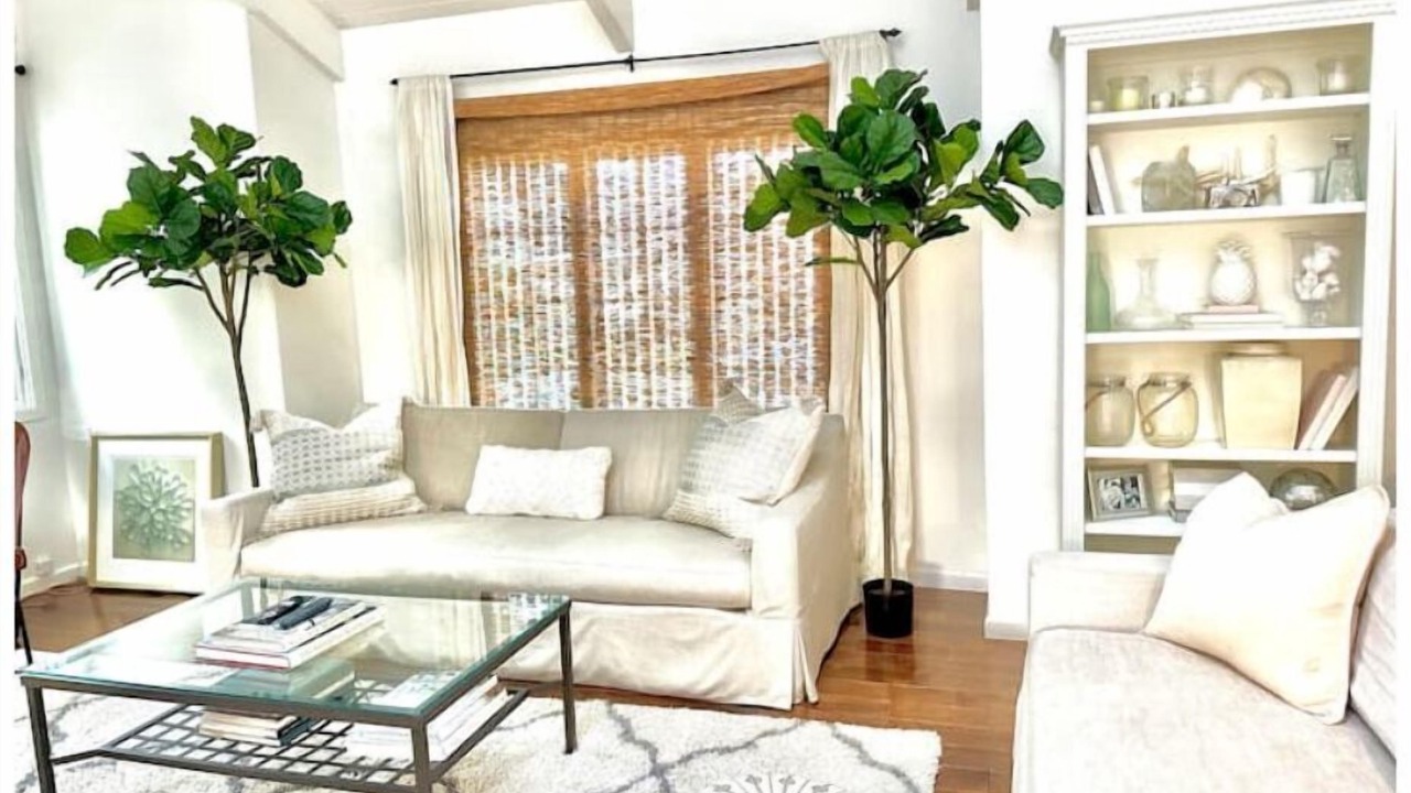 Photo of Livingroom in Larkspur