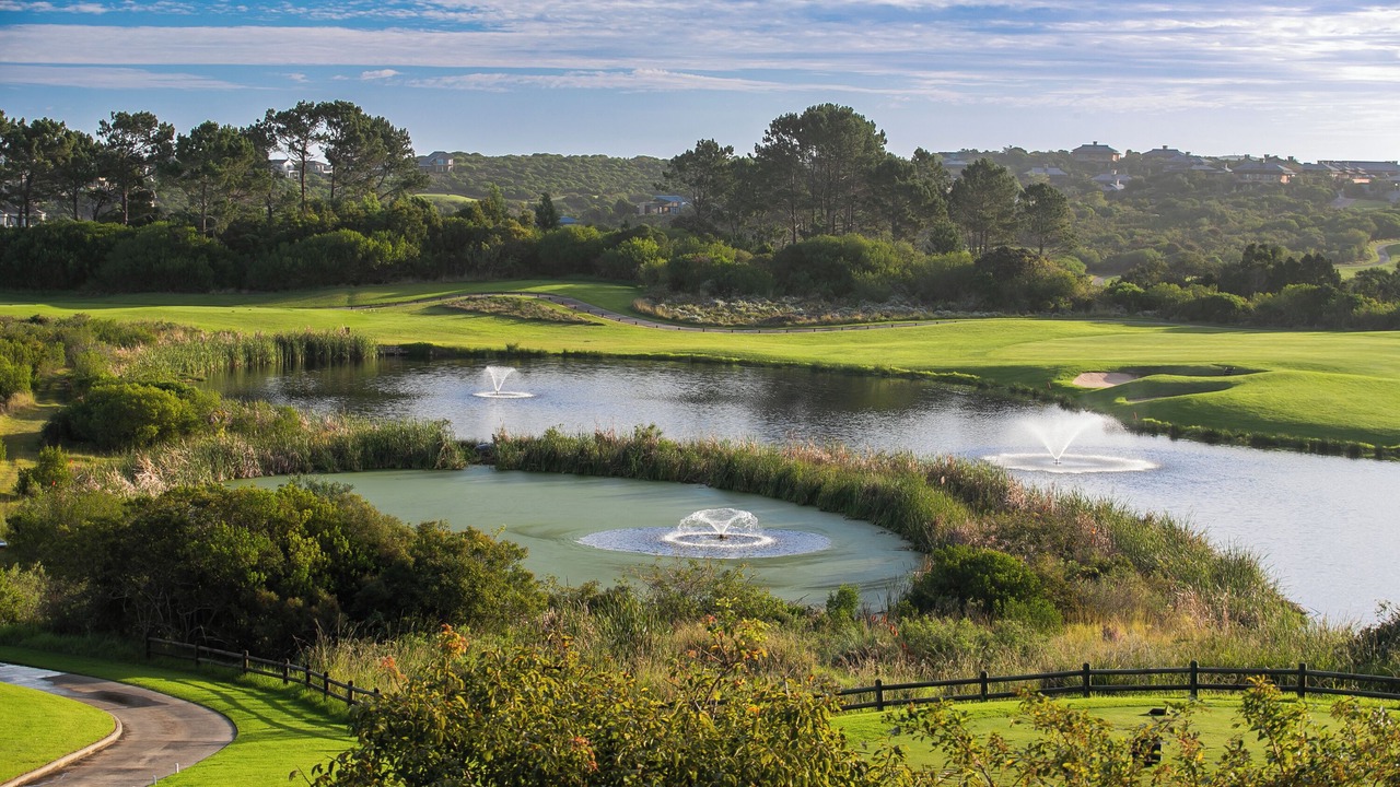 Photo of Others in Knysna