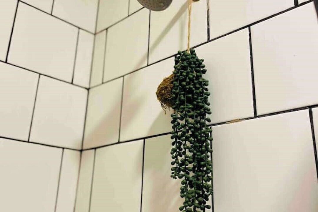 Photo of Bathroom in Greater Johannesburg Metropolitan Area