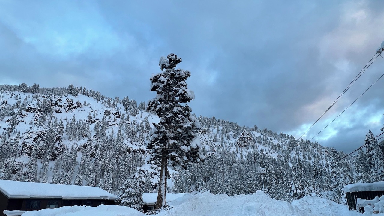 Photo of Others in Olympic Valley