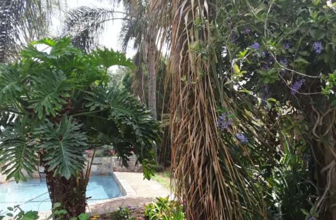 Photo of Outdoor in Sabie