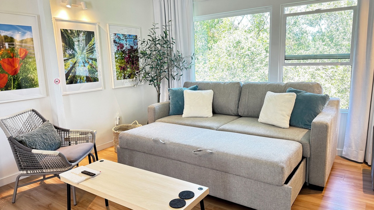 Photo of Livingroom in San Rafael