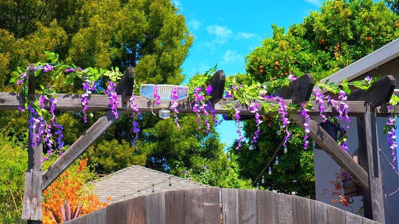 Photo of Outdoor in Alameda