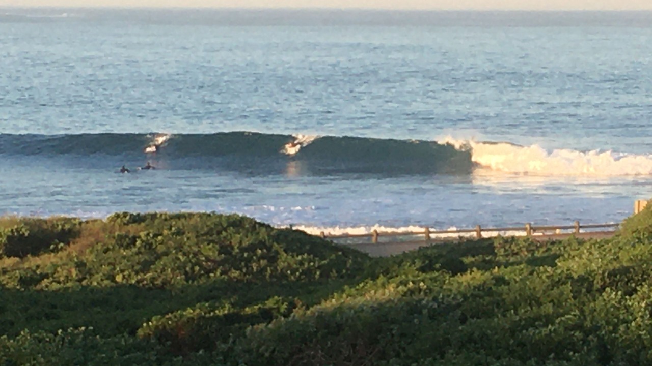 Photo of Others in Cape Saint Francis