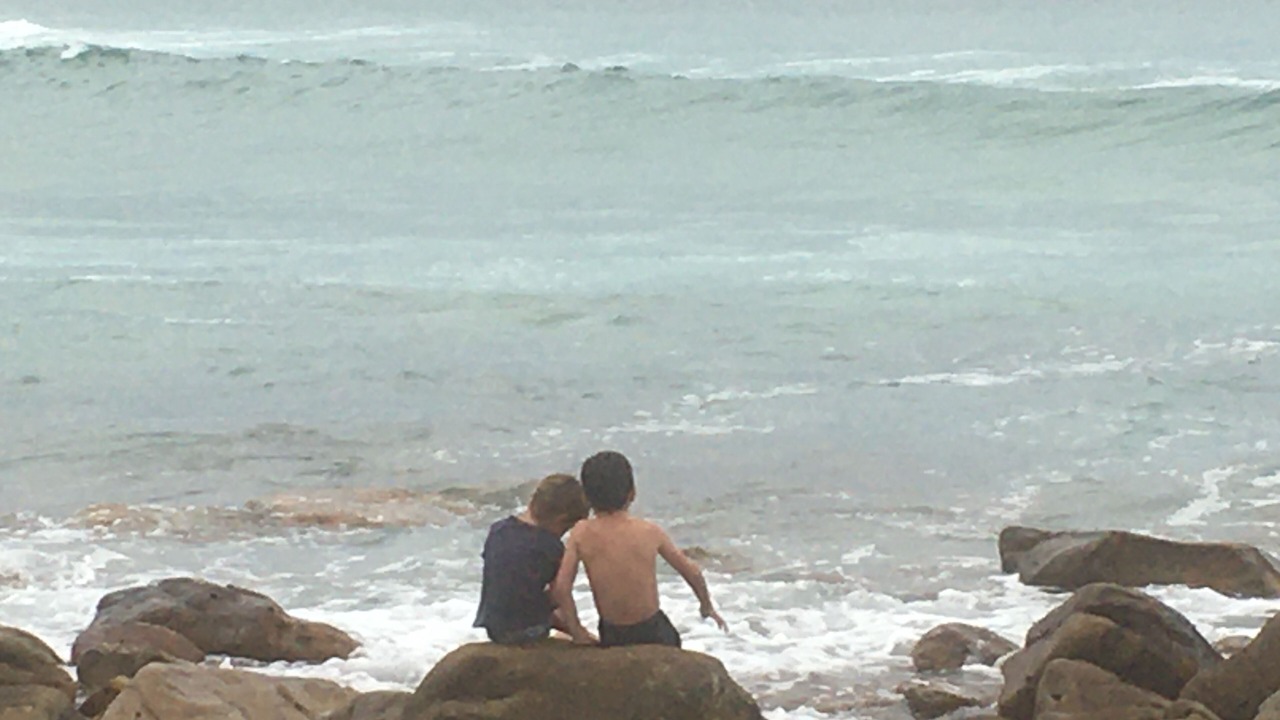 Photo of Others in Cape Saint Francis