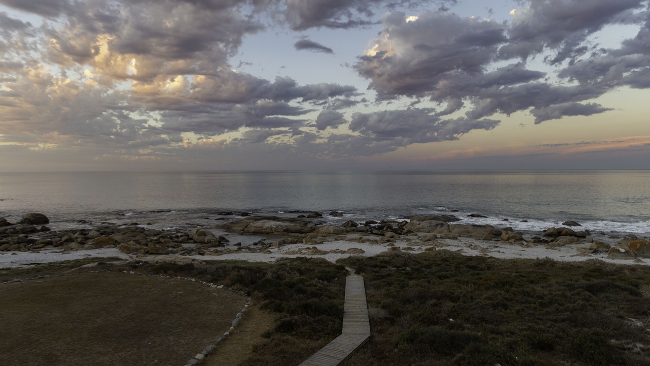 Photo of Others in Shelley Point